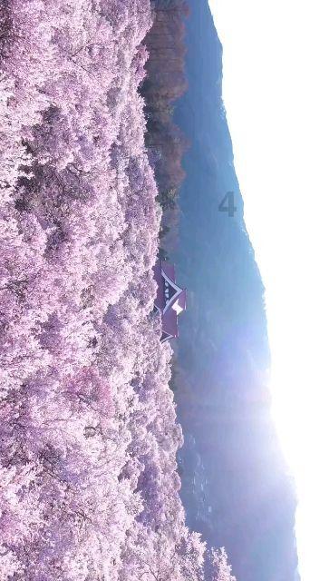 探索天涯 互动交流京东到家和美团谁实惠